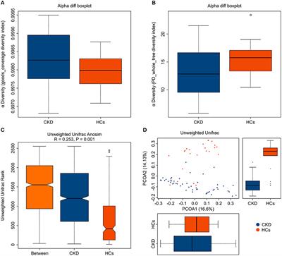 Alterations to the Gut Microbiota and Their Correlation With Inflammatory Factors in Chronic Kidney Disease